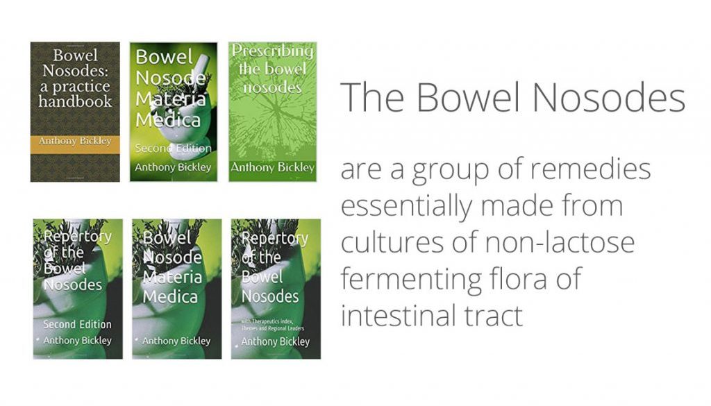 Bowel Nosodes definition