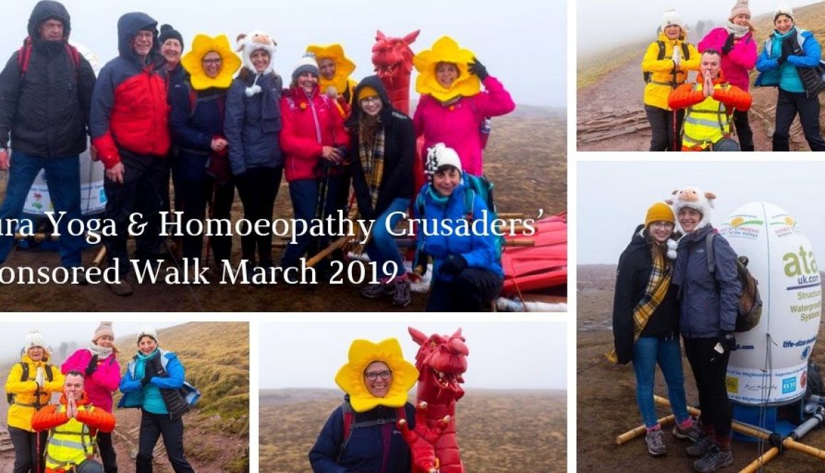 Aura Yoga Homoeopathy Crusaders Sponsored Walk March 2019
