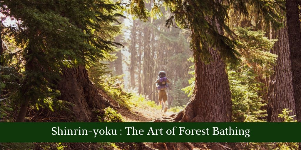 shinrin-yoku